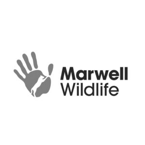 Marwell Wildlife company logo