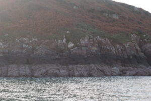 Rocky shoreline